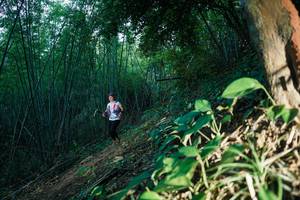 BIB: 
                            <button type="button" onclick="openModal(28124169)" class="btn btn-primary btn-sm float-right btn-popup" data-toggle="modal" data-target=".modal-high-quality">
                        <i class="fas fa-shopping-cart"></i> Add to Cart
                    </button>
                                            <button type="button" onclick="isThisMe(28124169, true)" class="btn btn-success btn-sm float-right btn-popup btn-isme hidden" data-toggle="tooltip" data-placement="bottom" title="นี่คือรูปของคุณใช่ไหม คลิกที่นี่เพื่อเอาเข้าอัลบั้ม">
                        <i class="fas fa-plus"></i> Add to album
                    </button>
                    <button type="button" onclick="isThisMe(28124169, false)" class="btn btn-warning btn-sm float-right btn-popup btn-isnotme hidden">
                        <i class="fas fa-ban"></i> Remove from album
                    </button>